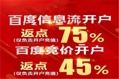 某某SEM团队成功案例：广告投放策略揭秘